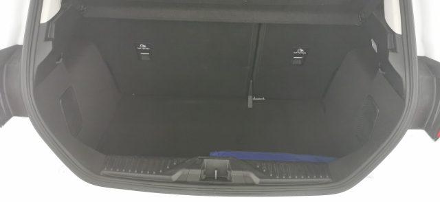 FORD Fiesta 1.0 Ecoboost Hybrid 125 CV 5 porte Active