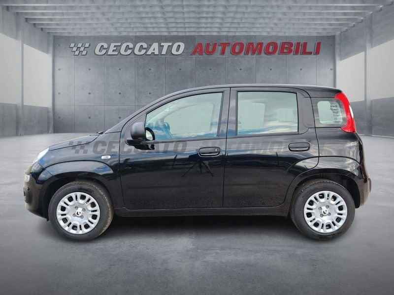 FIAT Panda Panda 1.0 70cv Hybrid Pop