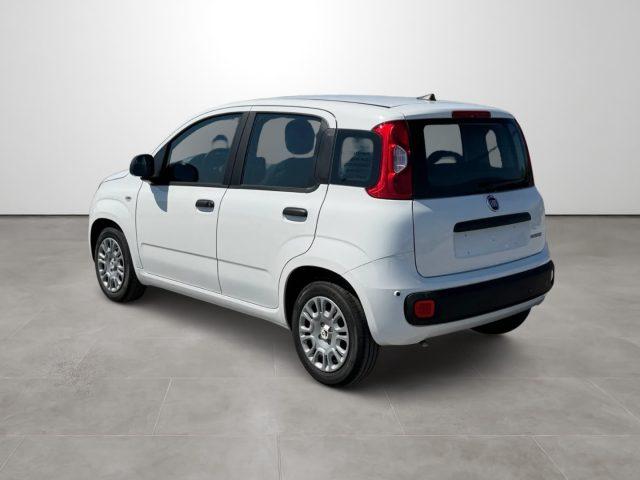 FIAT Pandina 1.0 FireFly 65 CV Hybrid Icon