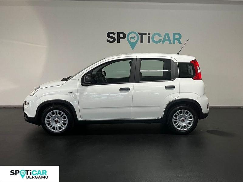 FIAT Panda 1.0 FireFly S&S Hybrid - Km0