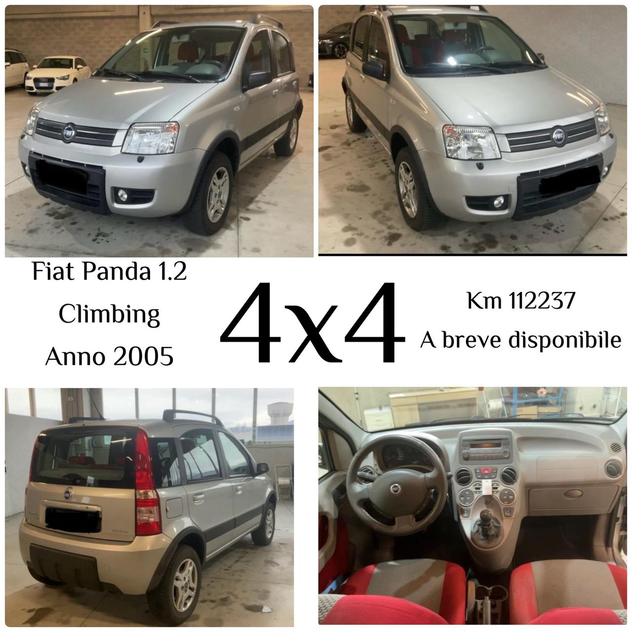 Fiat Panda 1.2 4x4 Climbing - Km 112000-