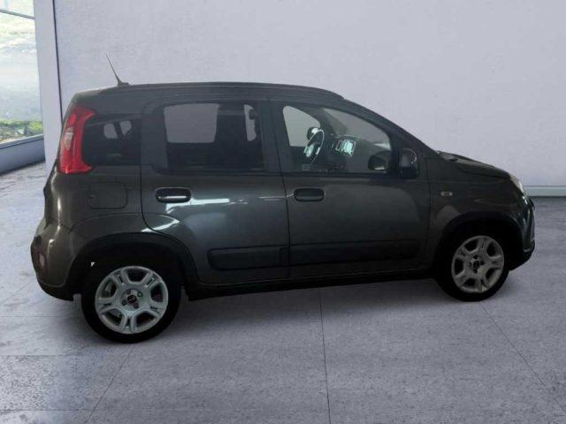 FIAT Panda 3ª serie - 1.0 FireFly S&S Hybrid Red