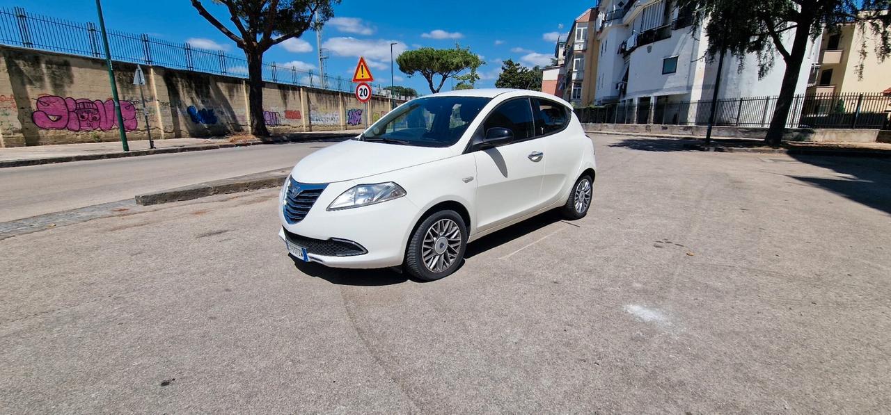 Lancia Ypsilon 1.3 MJT 16V 95 CV 5 porte S&S Platinum