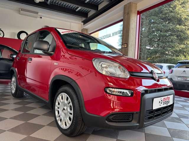 Fiat Panda 1.0 Firefly Hybrid S&S Pandina 5 POSTI