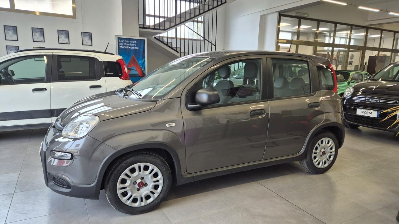FIAT PANDA 1.0 FireFly 70cv S&S Hybrid City Life