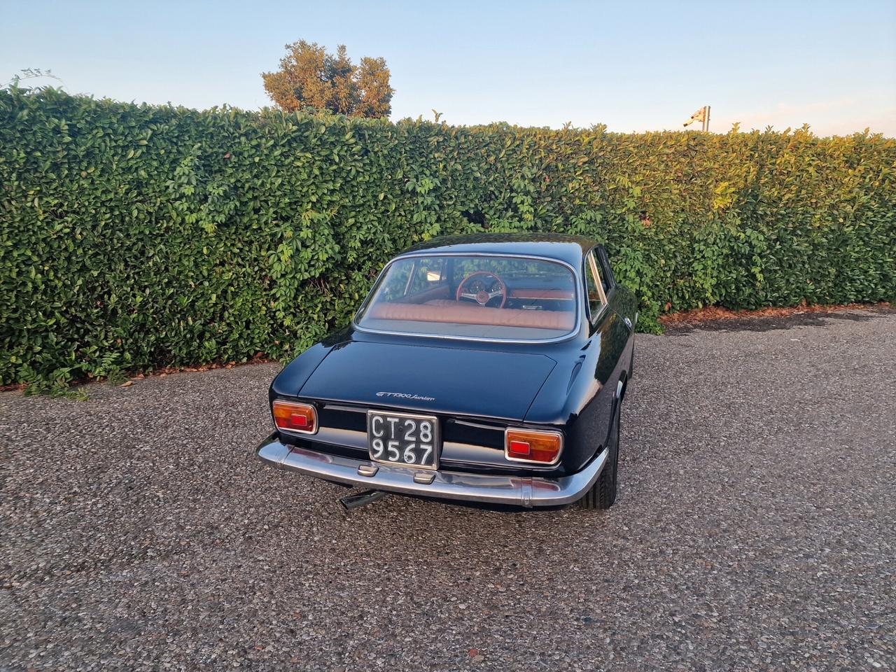 Alfa Romeo Gt Junior 1300