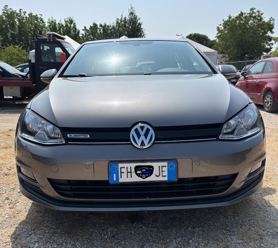 Volkswagen Golf 1.4 TGI 5p. Executive BlueMotion