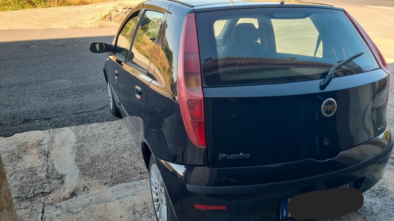 Fiat Punto 1.3 Multijet 16V 5 porte Active