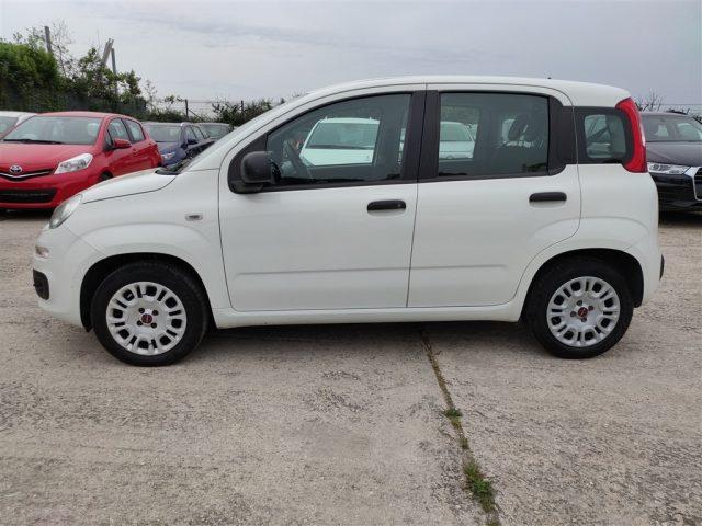 FIAT Panda 1.2 Easy CLIMATIZZATORE OK NEOPATENTATI