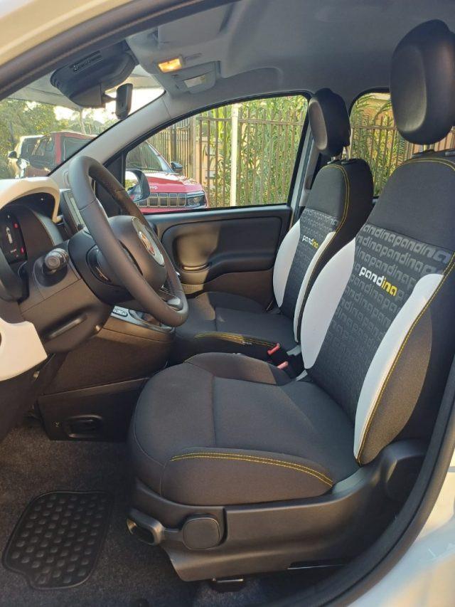 FIAT Panda 1000 HYBRID PANDINA 70 CV CARPLAY PDC ITALIA