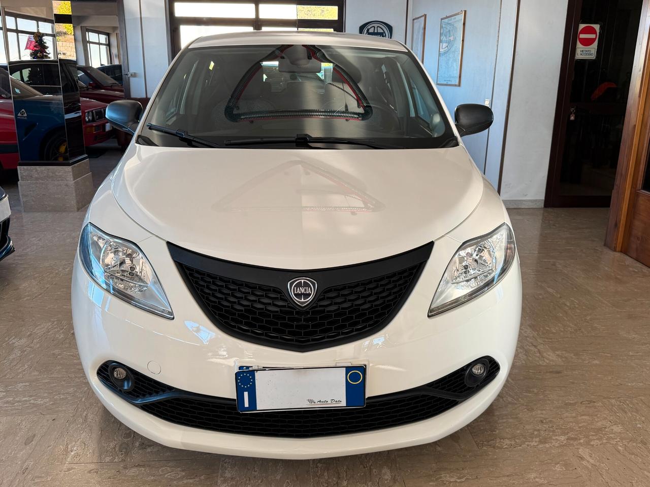 Lancia Ypsilon 1.2 69 cv. ELEFANTINO BLU