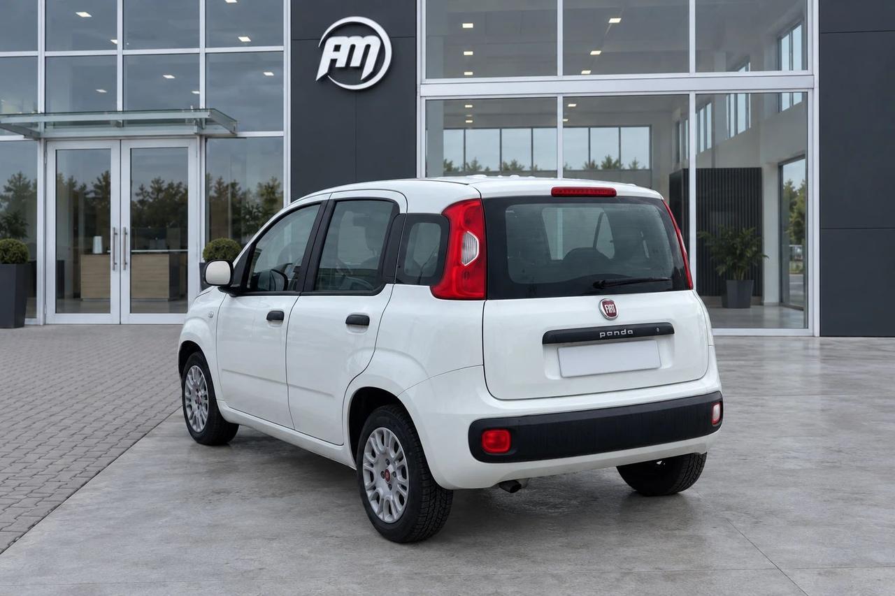 Fiat Panda 1.3Mjt Autocarro N1