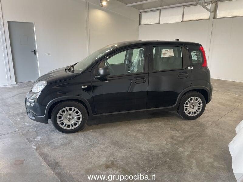 FIAT Panda Serie 7 1.0 70cv HybridPanda
