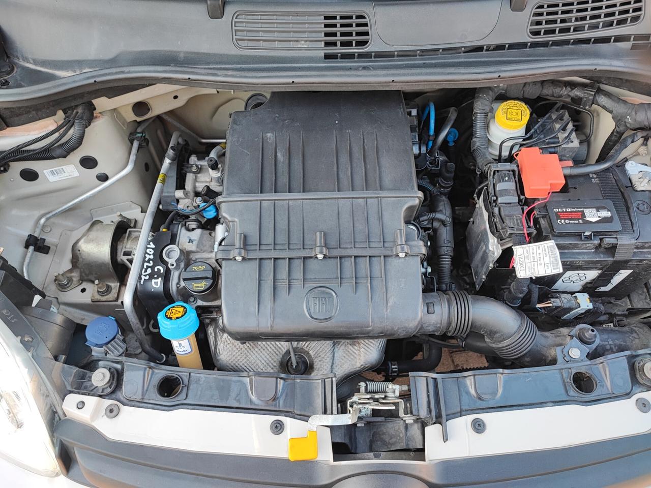 Fiat Panda 1.2 Pandazzurri