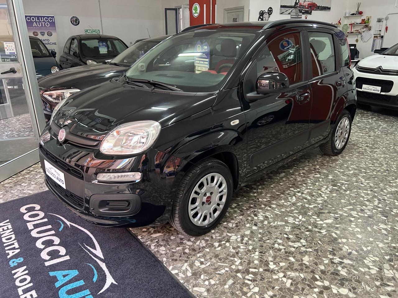 Fiat Panda 1.2 Benzina Clima