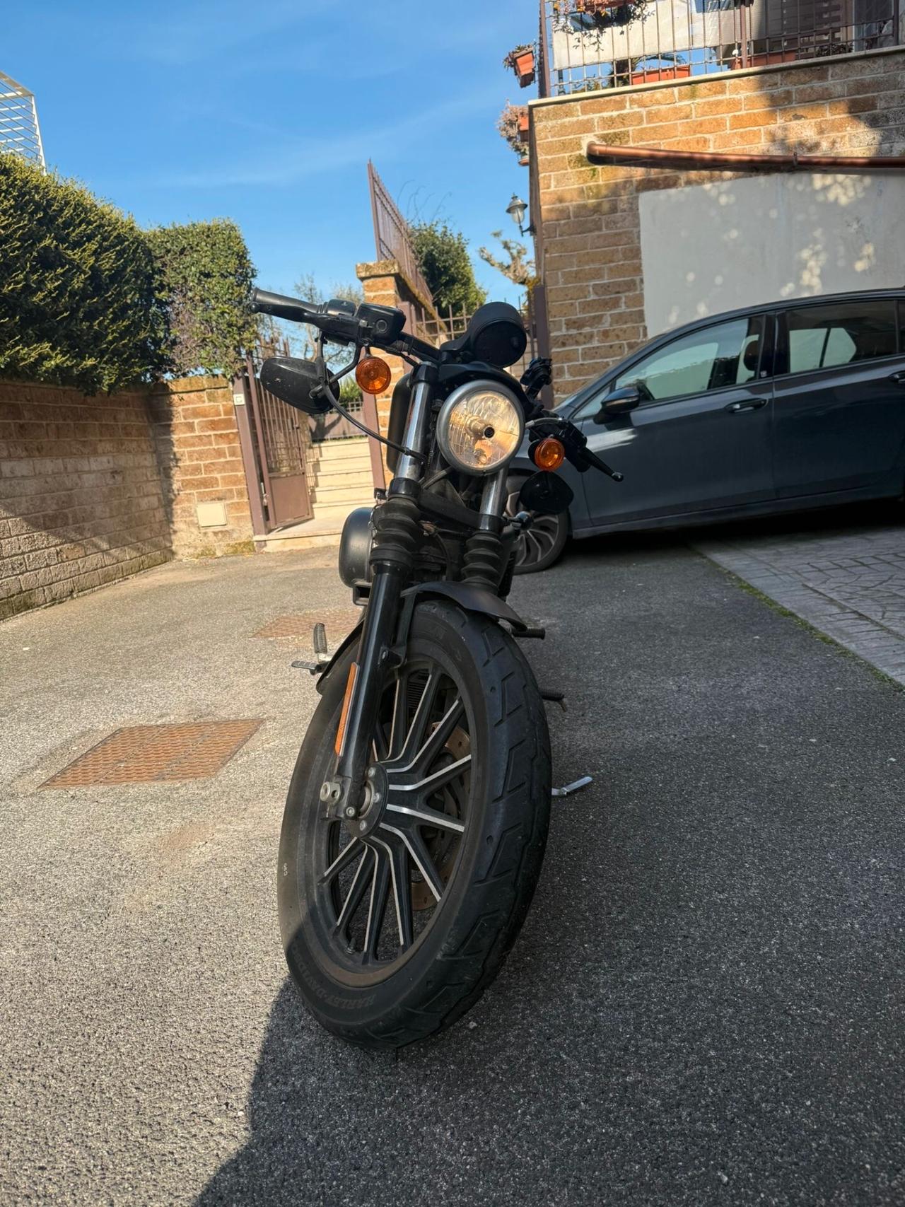 Harley-davidson XL 883