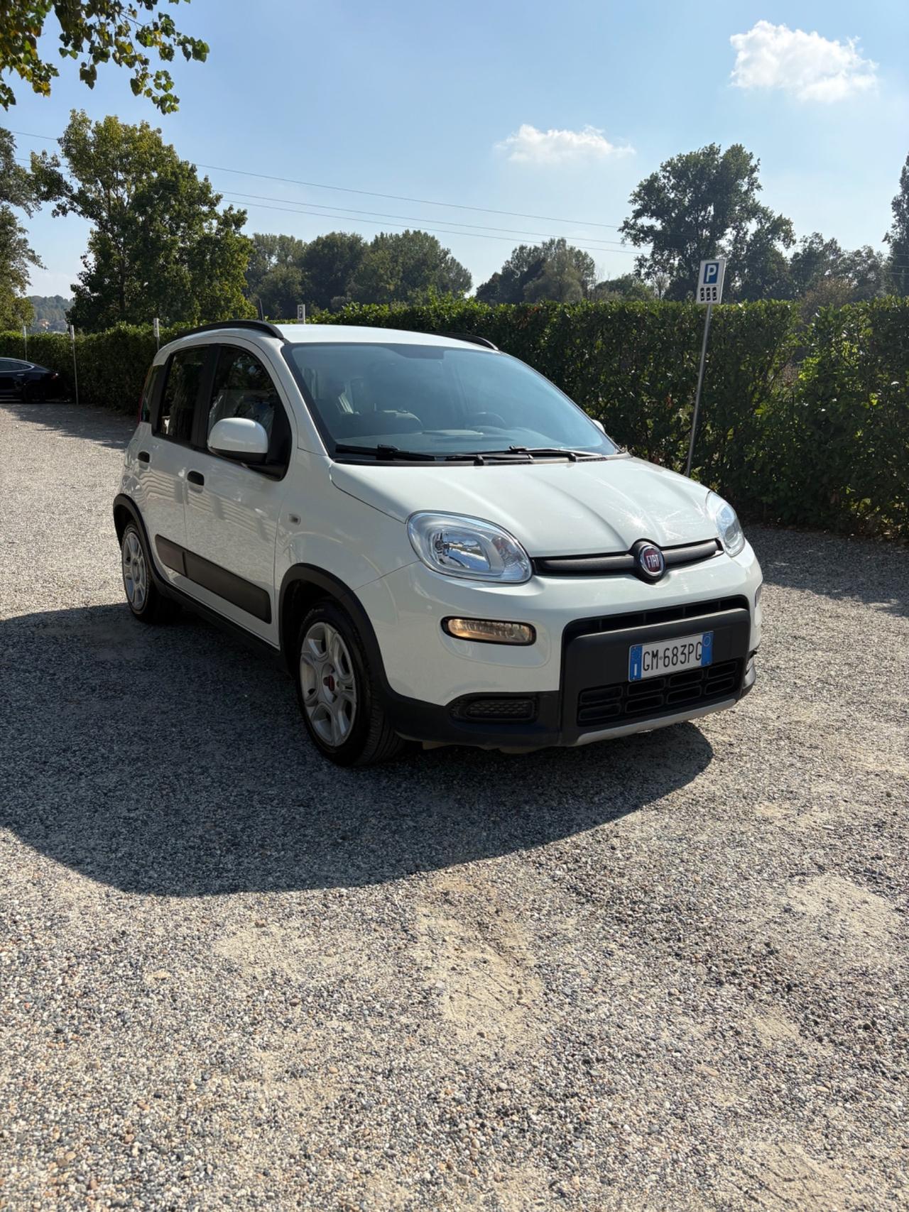 Fiat Panda 1.0 FireFly S&S Hybrid
