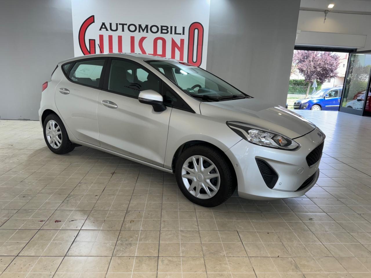 Ford Fiesta 1.0 Ecoboost 100 CV 5 porte Business