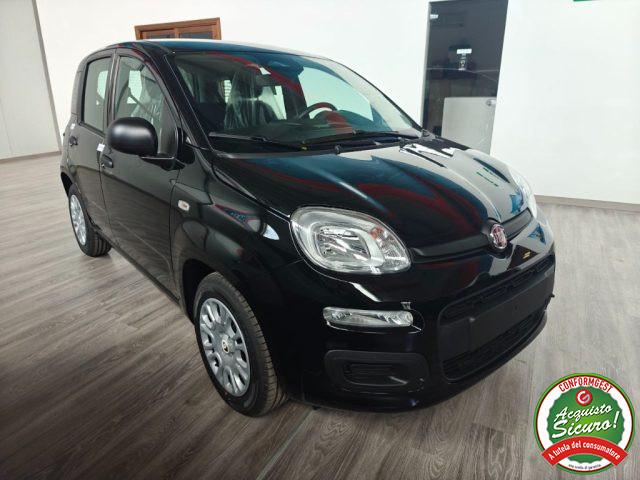 FIAT Pandina 1.0 FireFly 65 CV Hybrid Icon