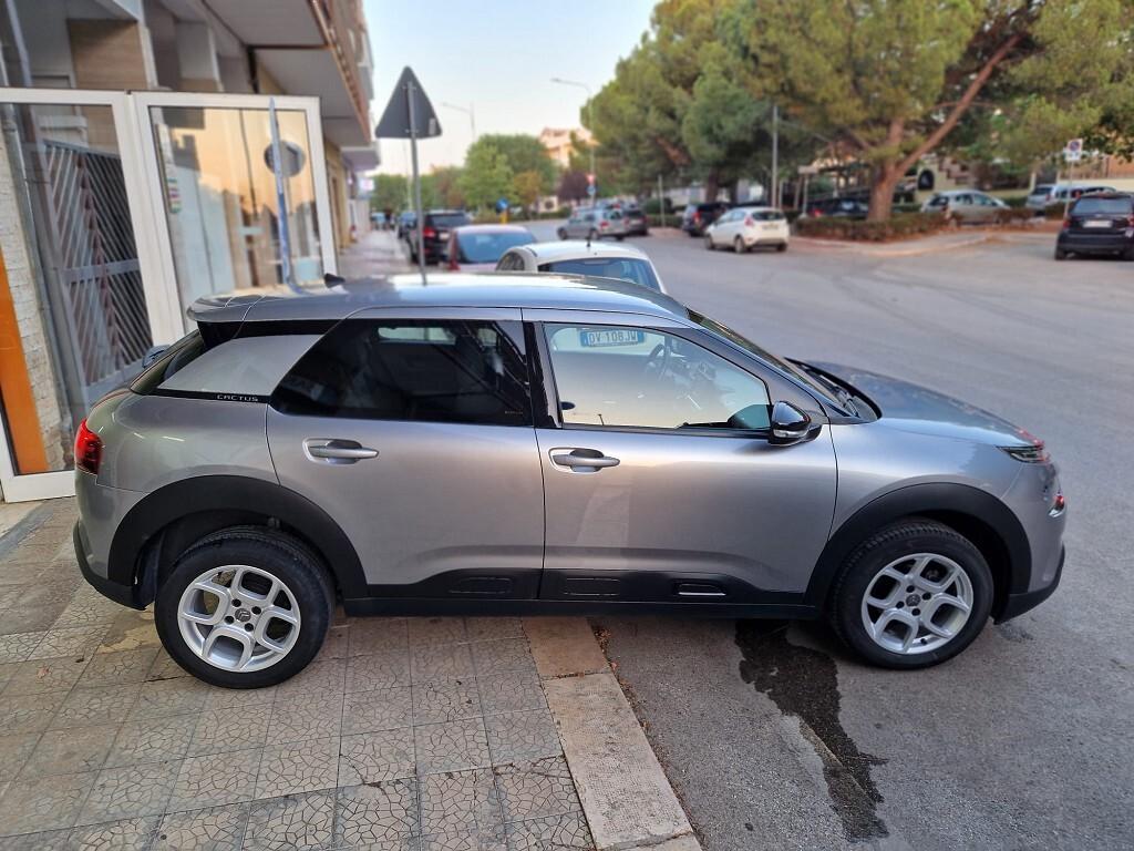 Citroen C4 Cactus 1.5 BlueHDi 100 cv. 2019 TOP