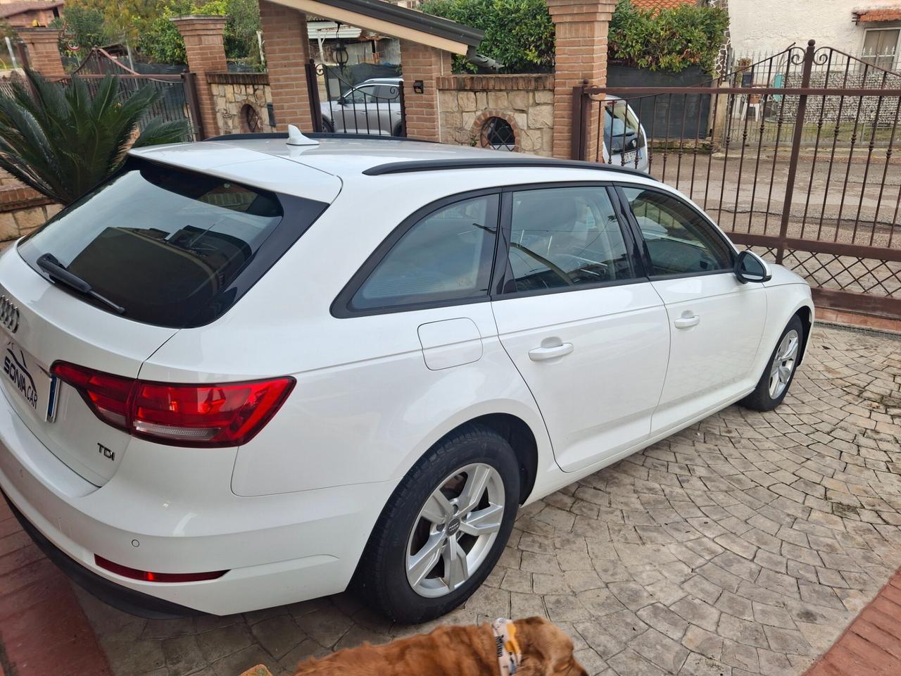 Audi A4 2.0 TDI 150 CV ultra S tronic Business