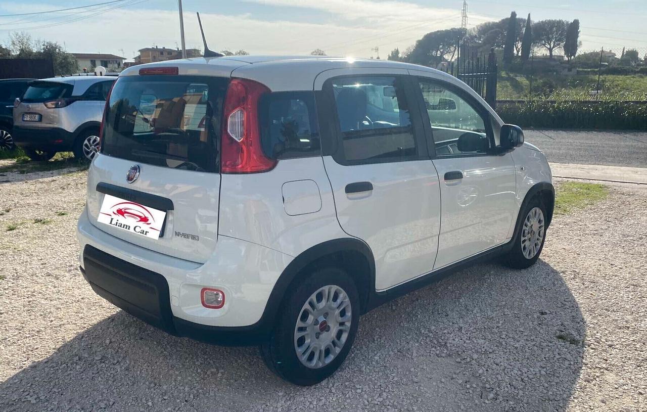 Fiat Panda 1.0 Hybrid City Life Ok Neop.