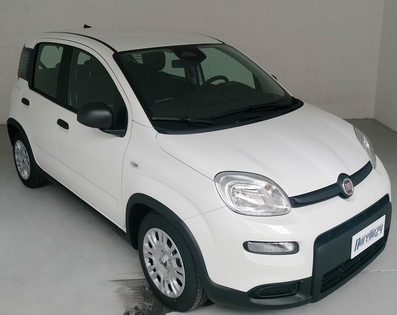 Fiat Panda PANDINA 1.0 FireFly S&S Hybrid NEOPATENTATO