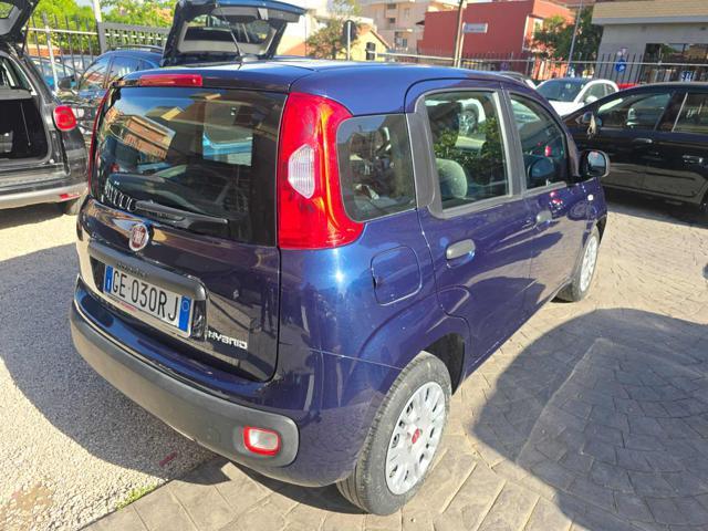 FIAT Panda 1.0 FireFly S&S Hybrid Eas 5 posti no obbligo fina