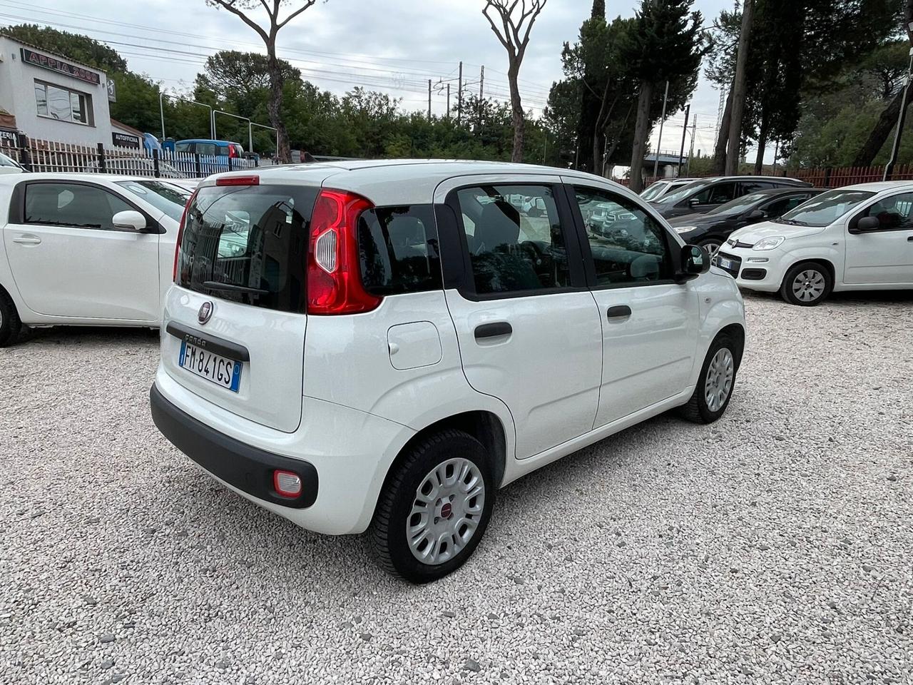 Fiat Panda 1.2 Easy, E6, 5 posti, NEOPATENTATI, KM REALI, PREZZO REALE