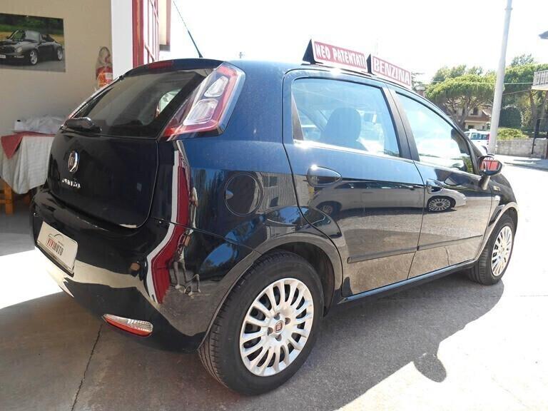 Fiat Punto 1.2 8V 5 porte Young NEOPATENTATI