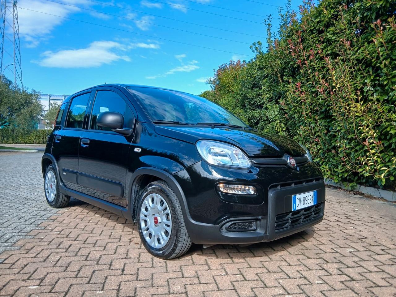 Fiat Panda Firefly sas hybrid