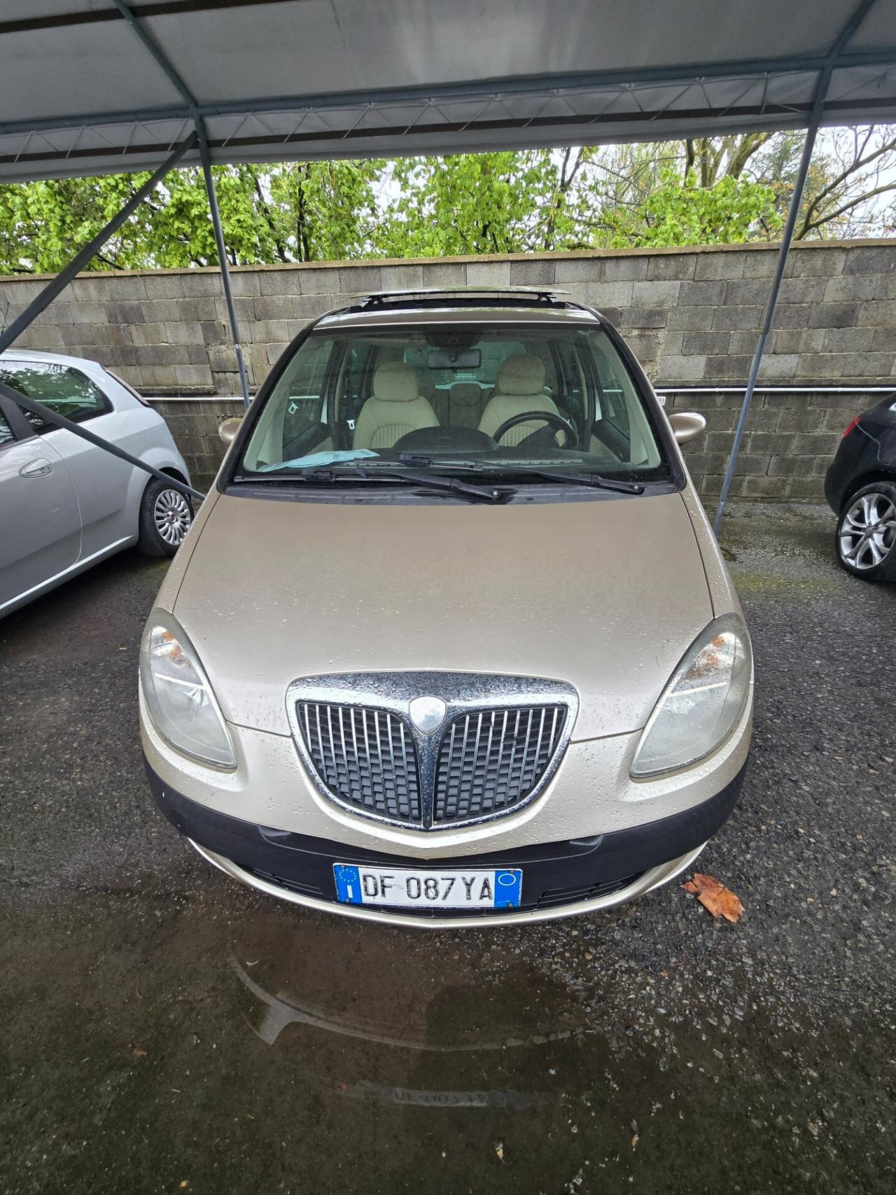 Lancia MUSA 1.3 Multijet 16V 90 CV Platino Plus