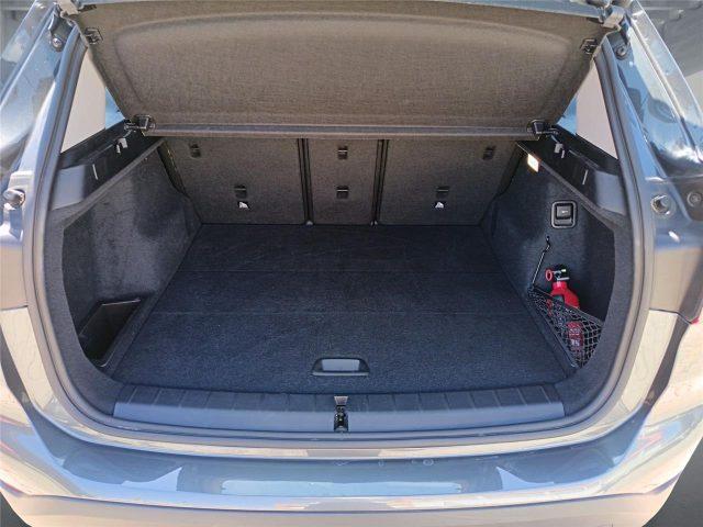 BMW X1 (F48) xDrive20d