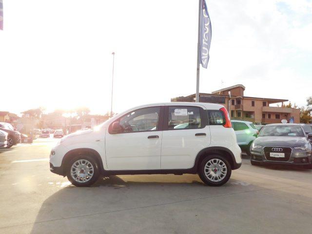 FIAT Panda 1.0 FireFly S&S Hybrid My23