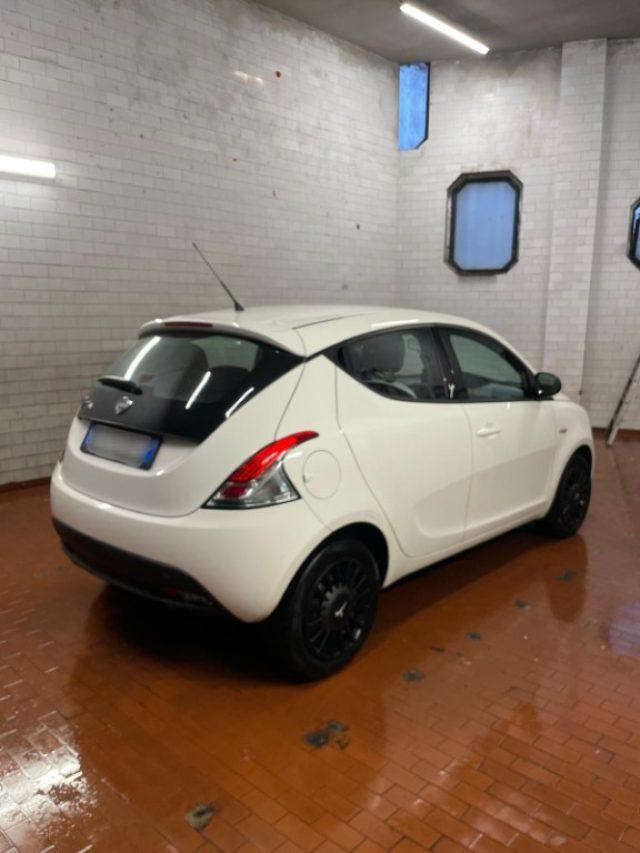 LANCIA Ypsilon 1.2 69 CV 5 porte Elefantino