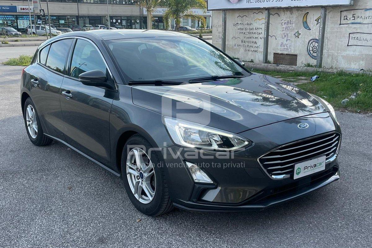 FORD Focus 1.5 EcoBlue 95 CV 5p. Business