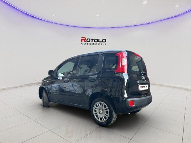 FIAT Panda Promo Car Serenity