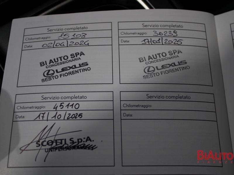 Lexus NX NX Plug-in 4WD Premium +