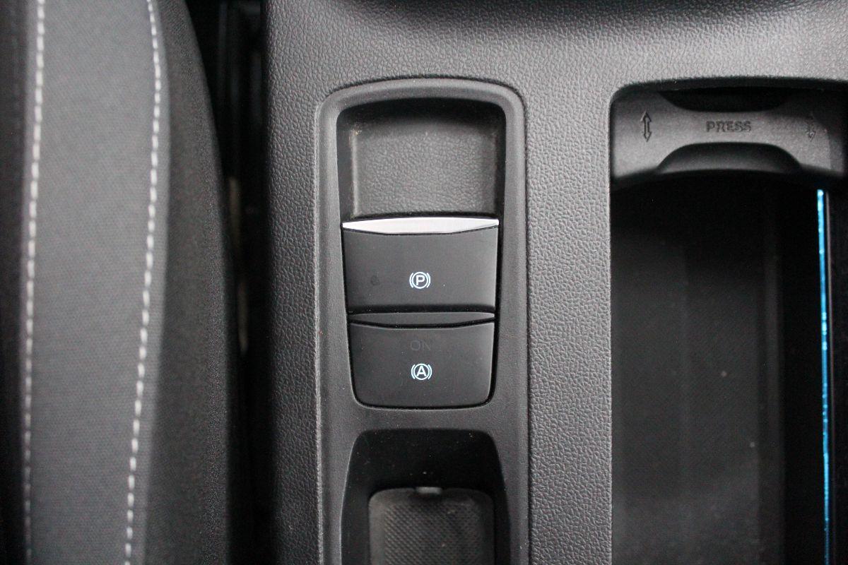 FORD - Focus Station Wagon - Focus 1.5 EcoBlue 120CV SW Business