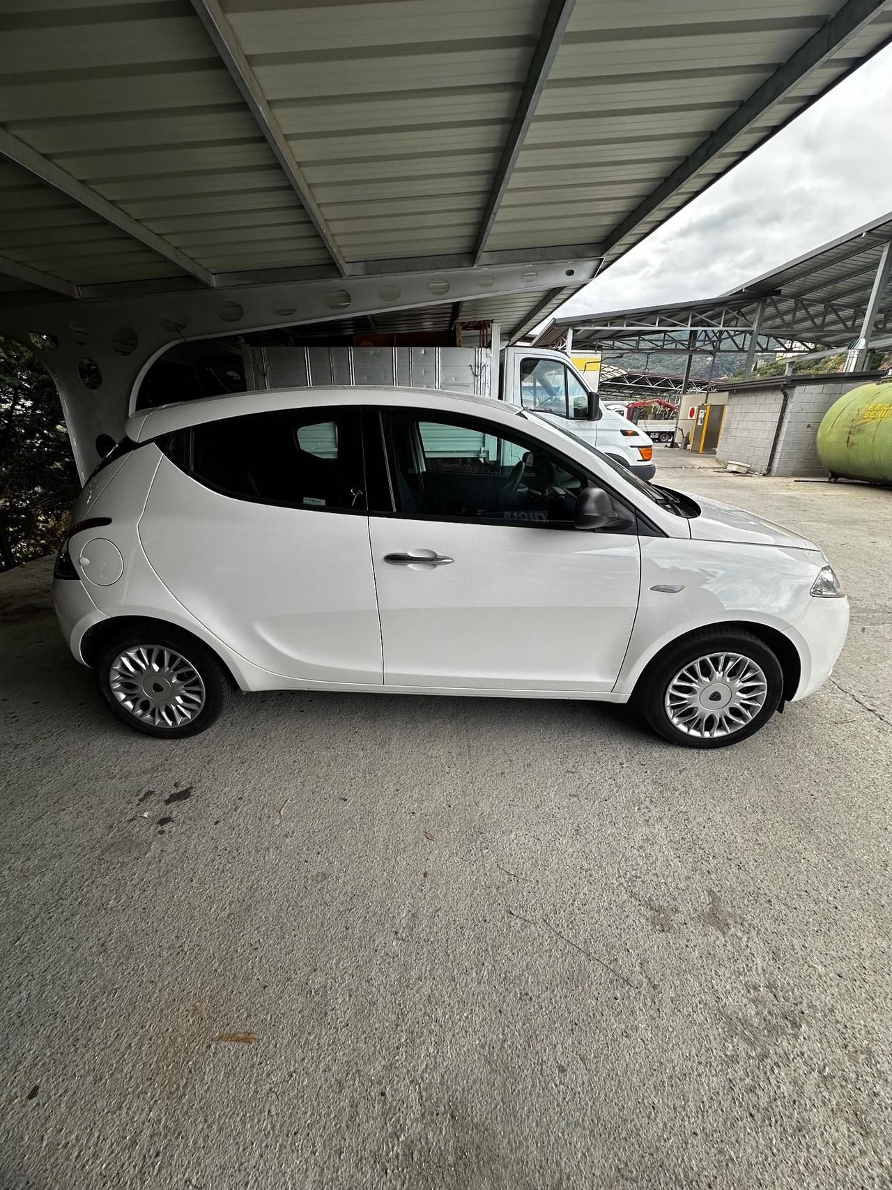 Lancia Ypsilon 1.3 MJT 16V 95 CV 5 porte S&S Gold