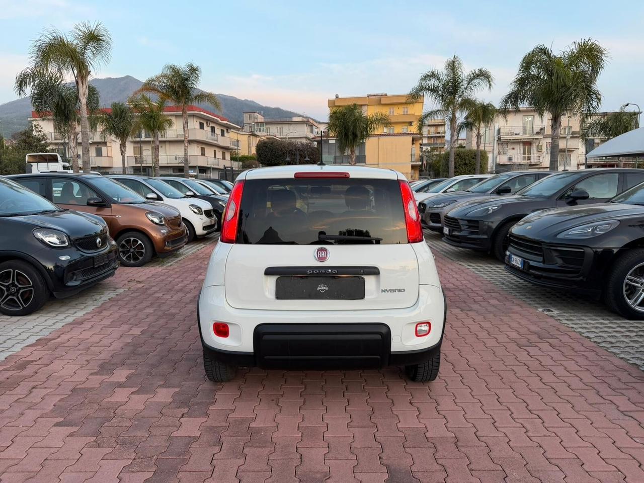 Fiat Panda 1.0 FireFly S&S Hybrid immatricolata N1 IVA DEDUCIBILE