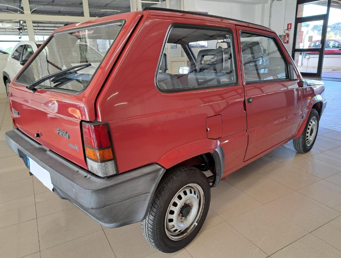 Fiat Panda 1100 i.e. cat Young