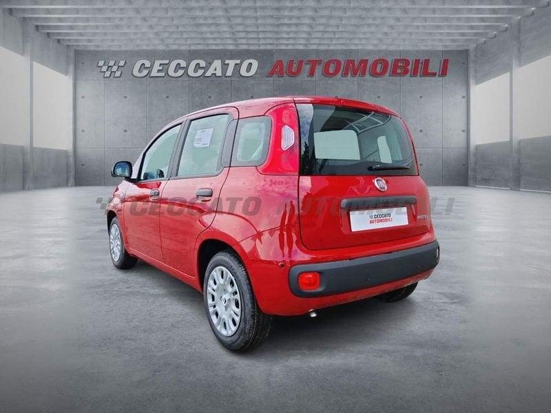 FIAT Panda Panda 1.0 firefly hybrid s&s 70cv