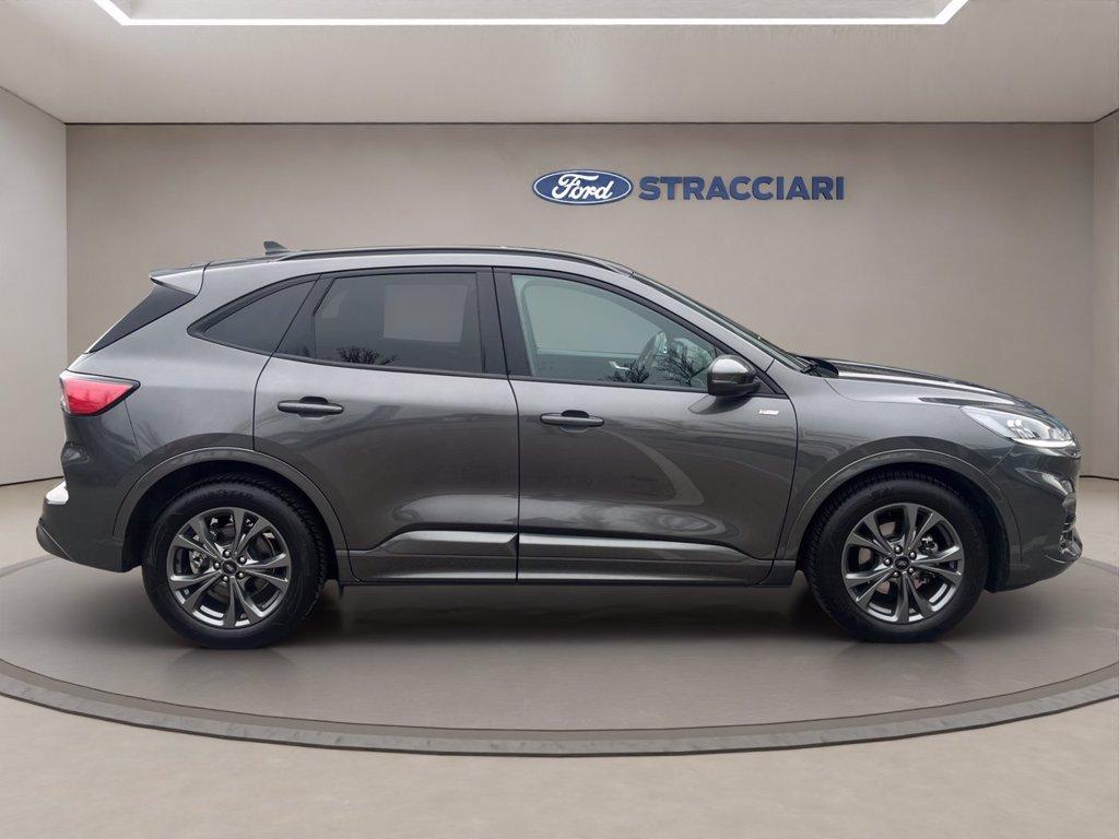 FORD Kuga 2.0 ecoblue ST-Line 2wd 120cv auto del 2024