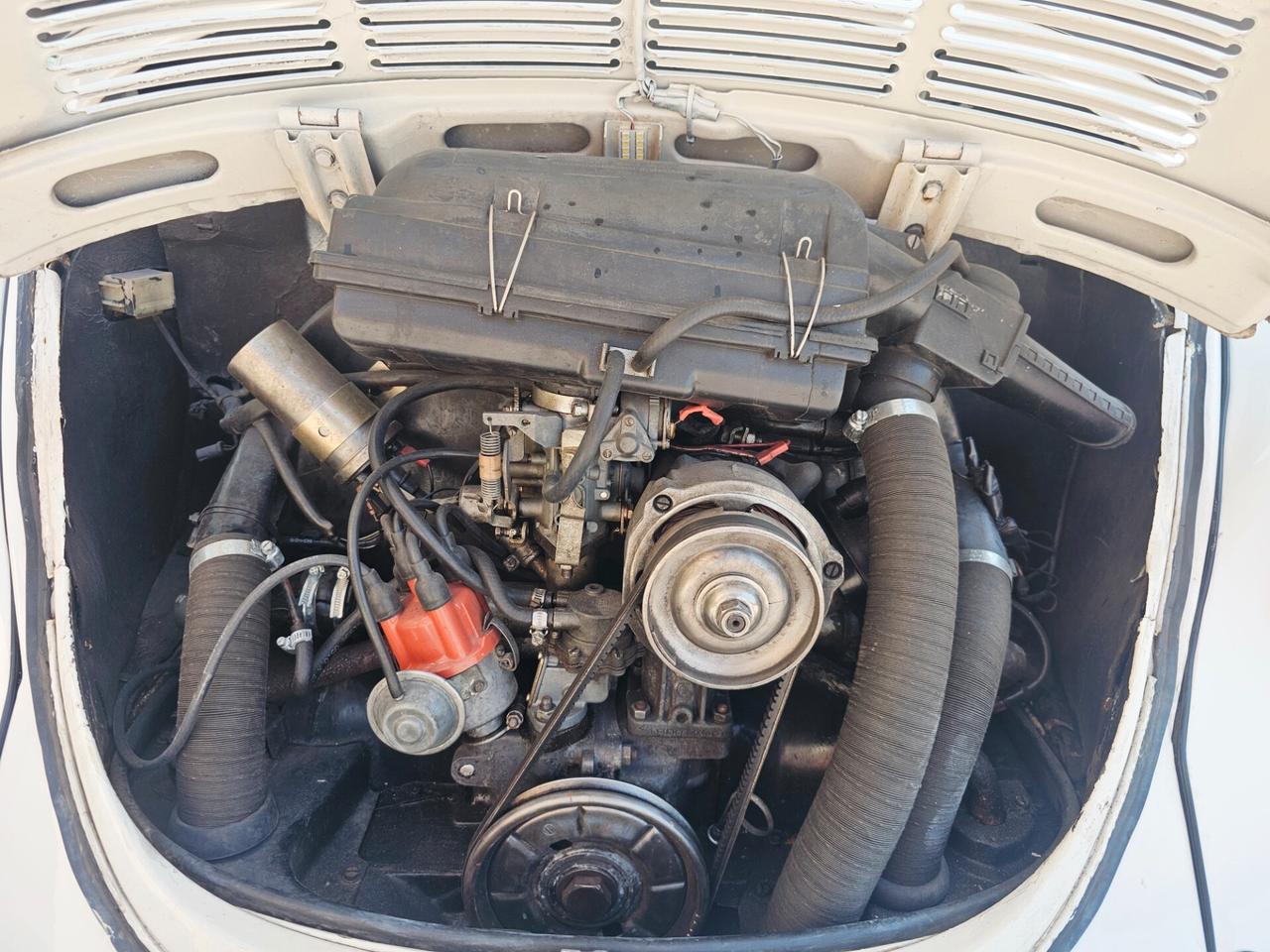 Volkswagen Maggiolino Maggiolone 1.6 cc Due proprietari