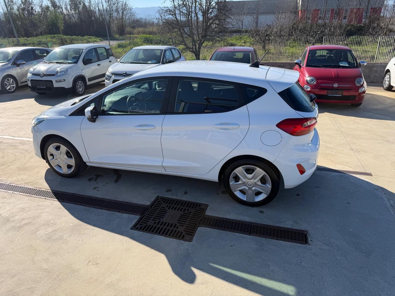 Ford Fiesta 1.5 EcoBlue 5 porte Connect