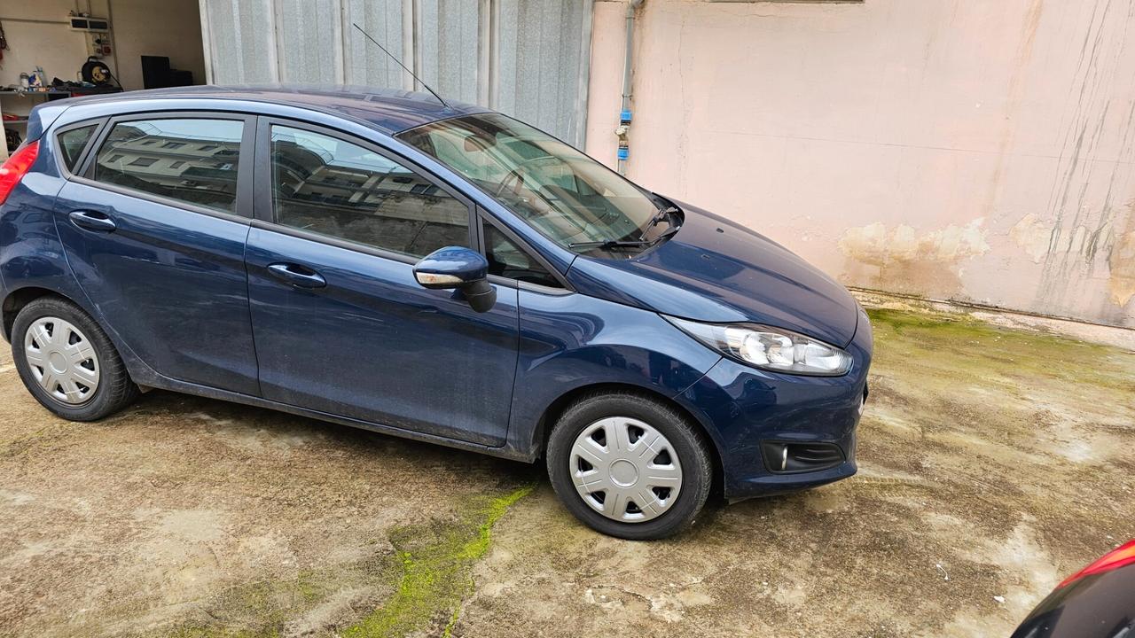 Ford Fiesta Plus 1.5 TDCi 75CV 5 porte