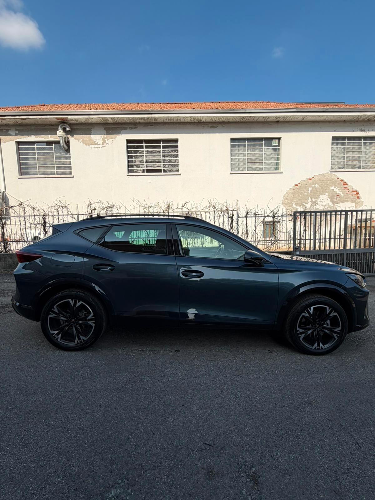 Cupra Formentor 2.0 TDI DSG
