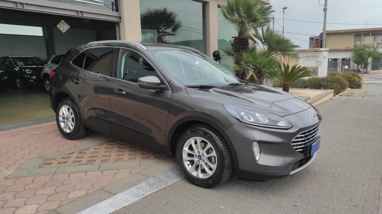 Ford Kuga 1.5 EcoBlue 120 CV 2WD Titanium Business