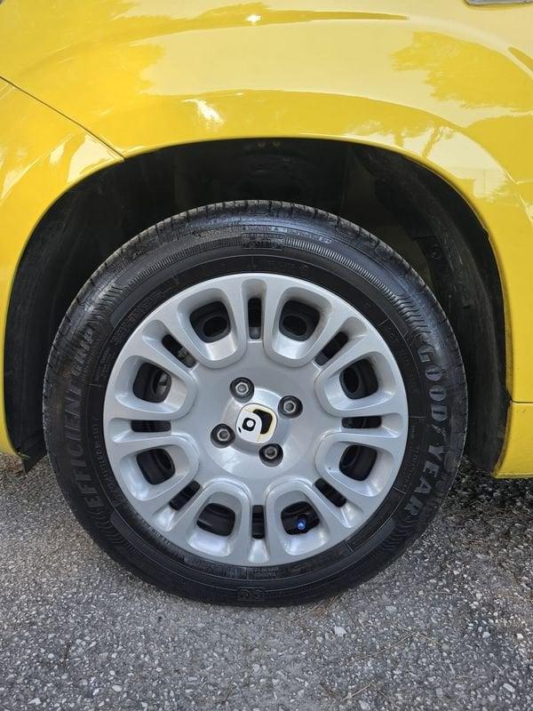 FIAT Panda 1.0 FireFly 70cv S&S Hybrid Pop